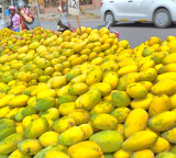 Indian Mangoes no ban on imports Nepal and Indian officials clarify