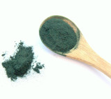 Is Spirulina a super food for protein