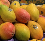 Indian mangoes spark summer rush across US