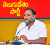 Jagan Mohan Reddy is a cockroach and people hit him with votes says MLC Srikanth