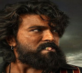 Peddi creating a collection tsunami record collections in 7 days