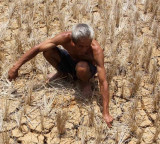 El Nino Entry To Intensify In Coming Months