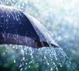 Telangana rain forecast for several districts today