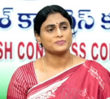 YS Sharmila says it is shameful for the alliance government to celebrate victory