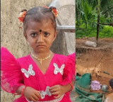 NDRF joins search for little Gnaneswari mystery continues with pet dog death