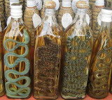 Snake Wine Millions fascinated by the taste of snake liquor