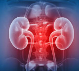 Telangana tops in kidney deaths shocking facts in ICMR report