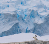 Antarctica ice sheet the size of France disappears