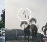 Helicopters collide in mid air Pop singer Oliver Tree among six dead