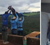 Maria Eduarda Rodrigues de Freitas survived 130 feet fall nurse reveals shocking details