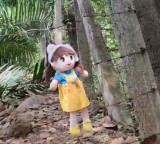 Sunkara Gnaneswari missing case new strategy with meat filled dolls