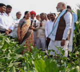 India’s solar-powered agriculture model a scalable blueprint for Africa: PM Modi