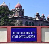 Judge appointments nativity issue surfaces again