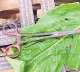 No doctor nurse performs delivery surgical scissors found in ashes reveals truth
