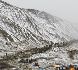 Yarsagumba the Himalayan Gold driving Nepalese crazy