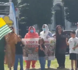 Brussels: Kashmiris protest outside European Parliament, slams Pakistan for human rights abuses in PoK