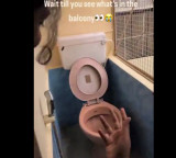 Bengaluru flat balcony toilet viral video netizens react