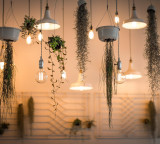Lighting Trends 2026 New Art for Your Home and Latest Decor Tips
