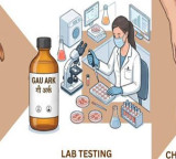 IIT Roorkee research on cow urine for Chikungunya raises new hopes