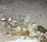 Miscreants throw petrol bomb at clinic of BJP leader's husband close to RSS office in Bathinda