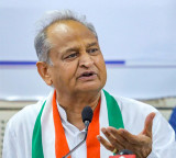 Ashok Gehlot says MPs and MLAs are being bought like cattle