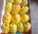Nitin Nabin sends premium Indian mangoes to diplomats from 82 countries