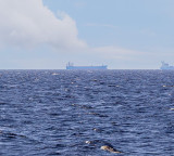 Iran's IRGC Navy warns against uncoordinated shipping through Hormuz Strait