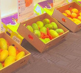 Indian Mangoes in Iceland First Ever Promotion Events Held
