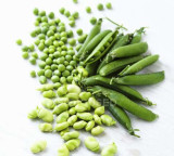 Jabalpur's peas, singhara earn prestigious GI tags