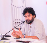 Red sanders smuggling reduced by 70 pc in two years: Pawan Kalyan
