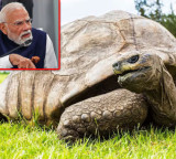 PM Modi to meet special guest during Seychelles visit