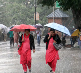 Southwest Monsoon picking up pace July first week to bring rains
