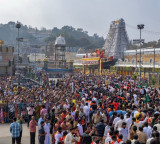 Sannidhi Golla gets the first darshan of Srivaru after Tirumala temple doors open