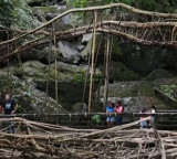 PM Modi highlights Meghalaya's living root bridges in 'Mann Ki Baat', lauds conservation efforts