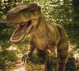 Dinosaurs history changed with one bone how the secret was revealed