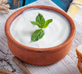 Greek Yogurt vs Curd Which is Better for Health