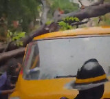 Vihaan Srivastava dies as tree falls in Mumbai and Minister controversial remarks
