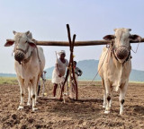 Rythu Bharosa funds deposited for farmers with up to three acres