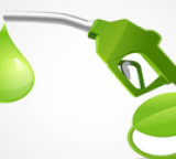 Govt dismisses reports calling E20 programme an 'experiment' as false