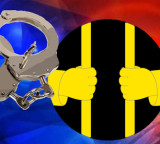 Three arrested over alleged bid to lure TVK MLA, Karur DMK functionaries among those held
