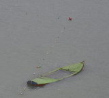 Seven killed after tourist boat capsizes in Pakistan's Khyber Pakhtunkhwa
