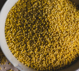 Superfoods once considered poor man food are now luxury health items