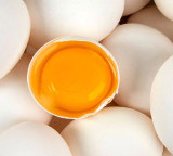Egg vegetarian or non vegetarian what does science say