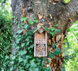 Bee hotels to save bees a new perspective revealed in research