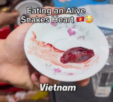 Jackson Ferrer swallows beating snake heart in viral video