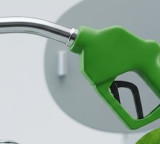 Centre dismisses reports of E-25 petrol rollout: Report