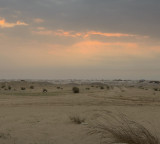 Guguloth Kailash missing mystery solved in Kuwait as owners buried body in desert