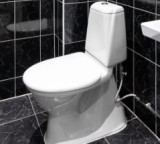 Gastrocolic Reflex Understanding the causes of bowel movements after meals