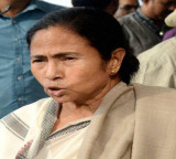 ED shock to Mamata Banerjee party 440 crore bank accounts frozen