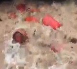 Maha monsoon fury: Around 3,000 LPG cylinders swept into river in Raigad after HPCL plant wall collapses